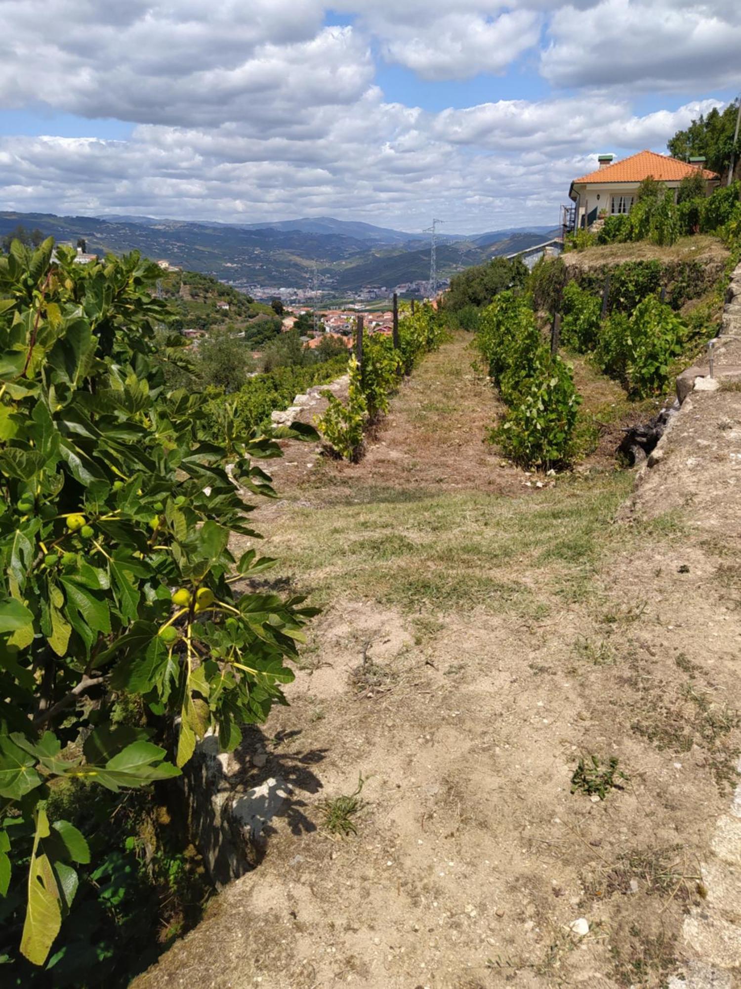 Quinta De Penelas 拉梅戈 外观 照片